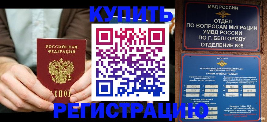 прописка 2025 в Пионерском